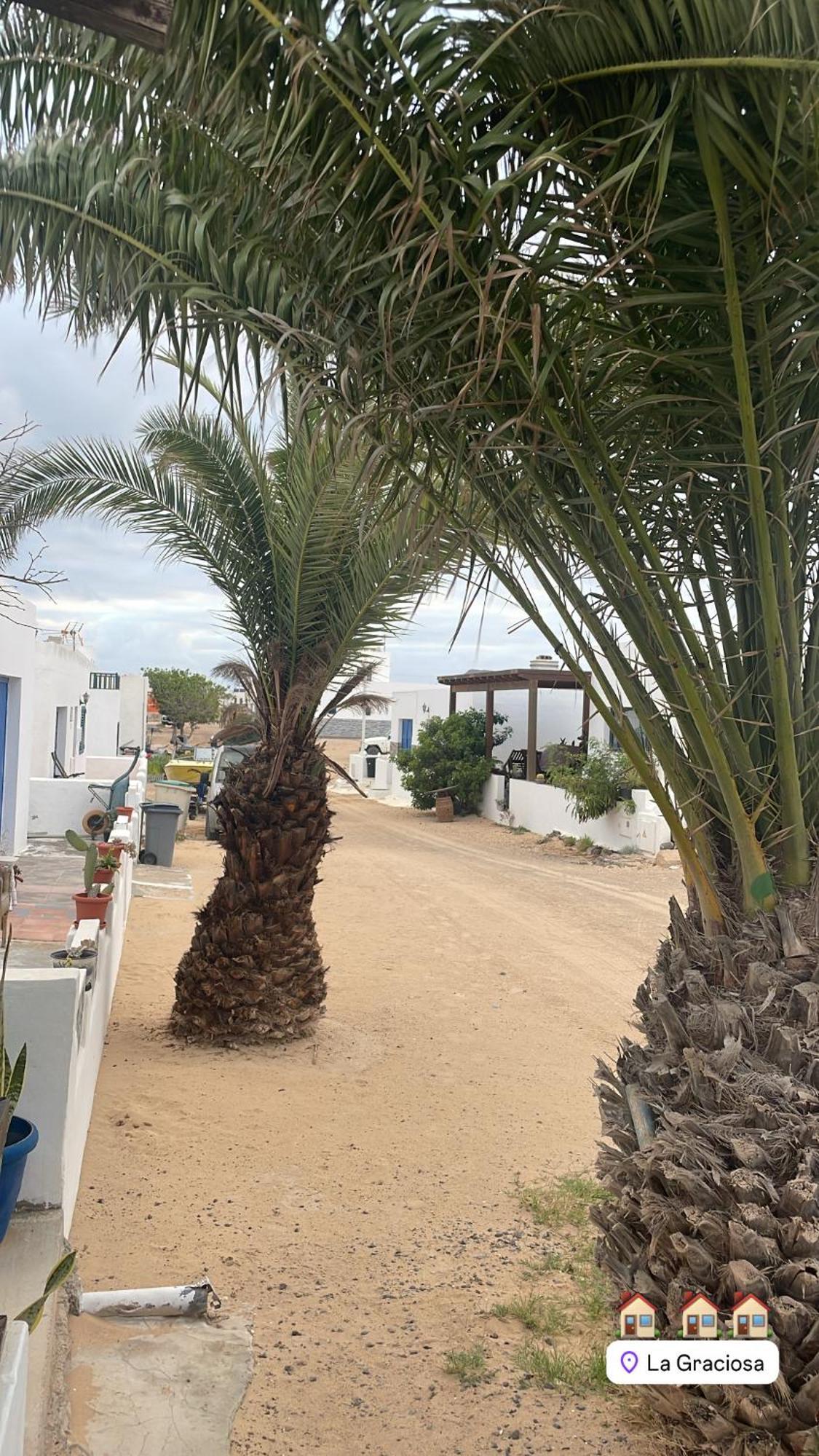 La Nasita Lägenhet Caleta de Sebo Exteriör bild